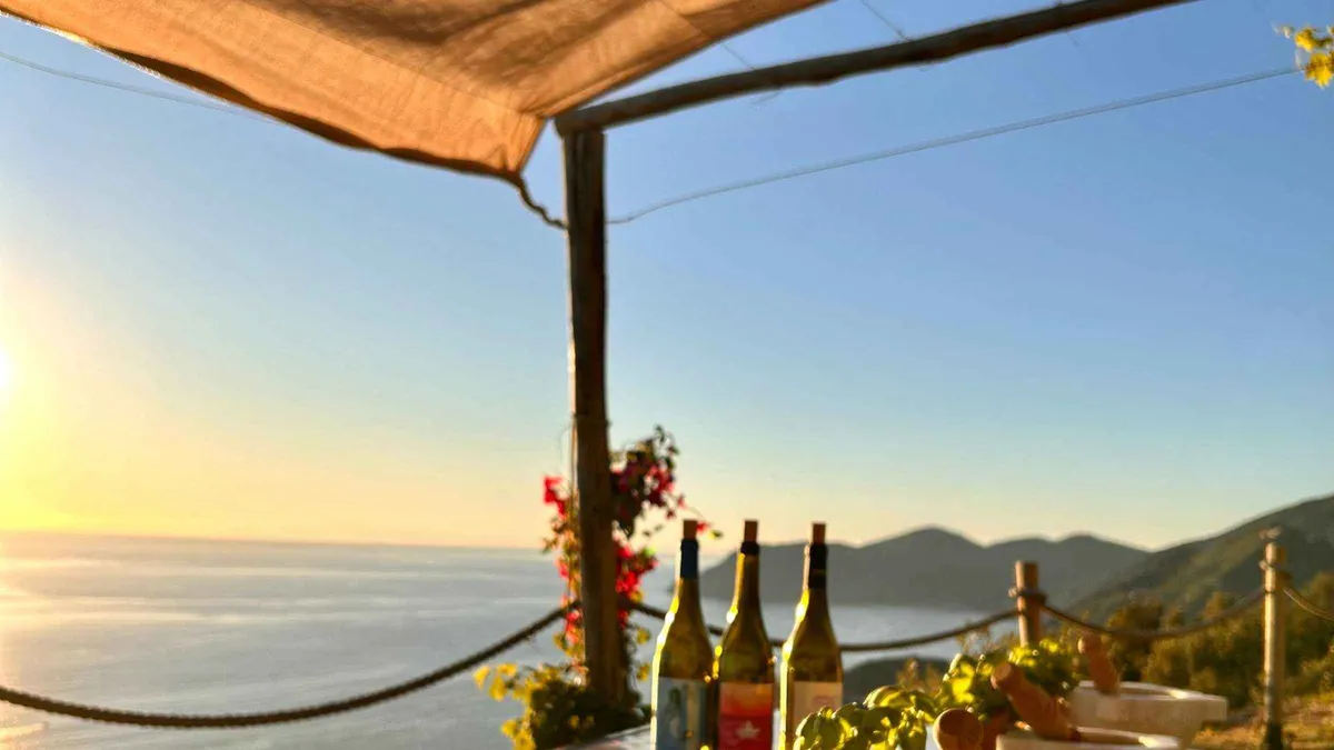Wine cellar tasting with pesto making class in the hillside vineyards above Manarola, Cinque Terre