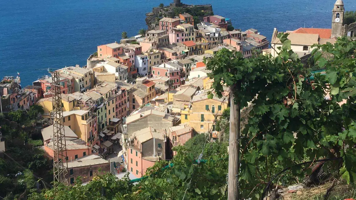 Terraced vineyard tour and wine tasting above Vernazza, Cinque Terre, overlooking the sea