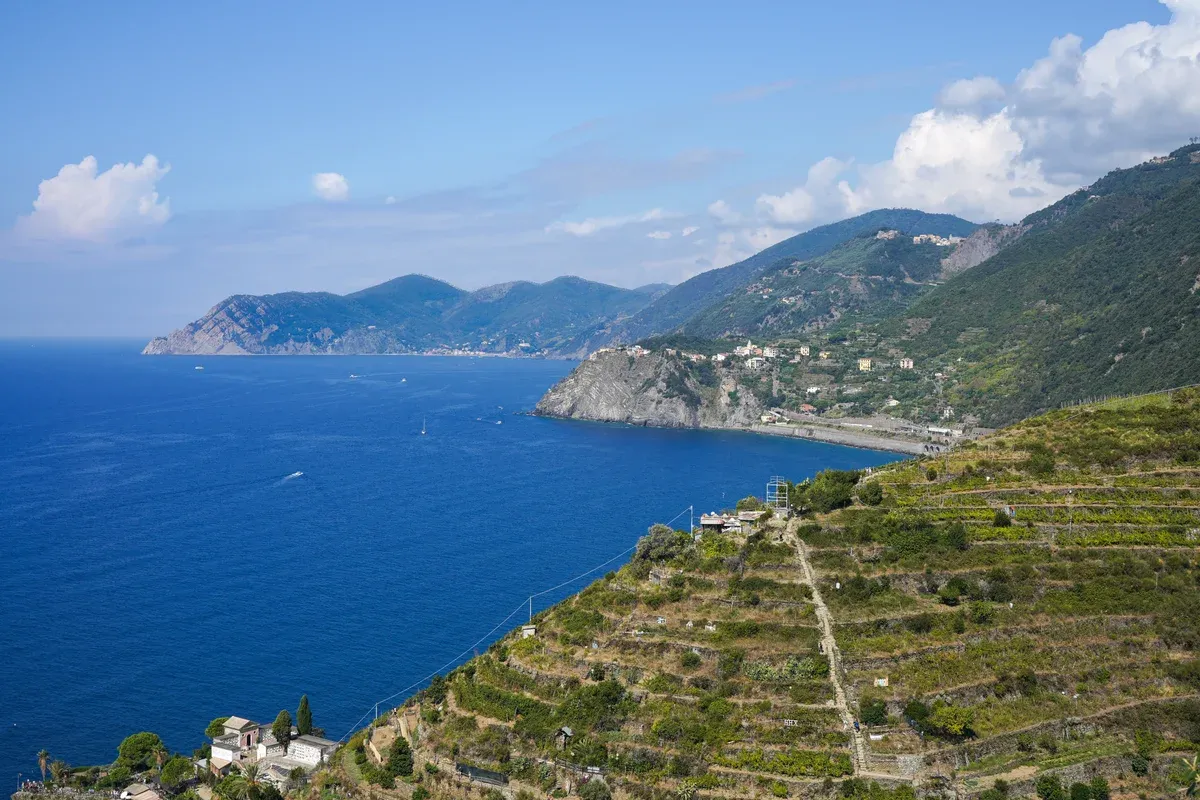 View from above Manarola along the terraced coastal trail toward Corniglia and Monterosso al Mare in Cinque Terre National Park, Italy