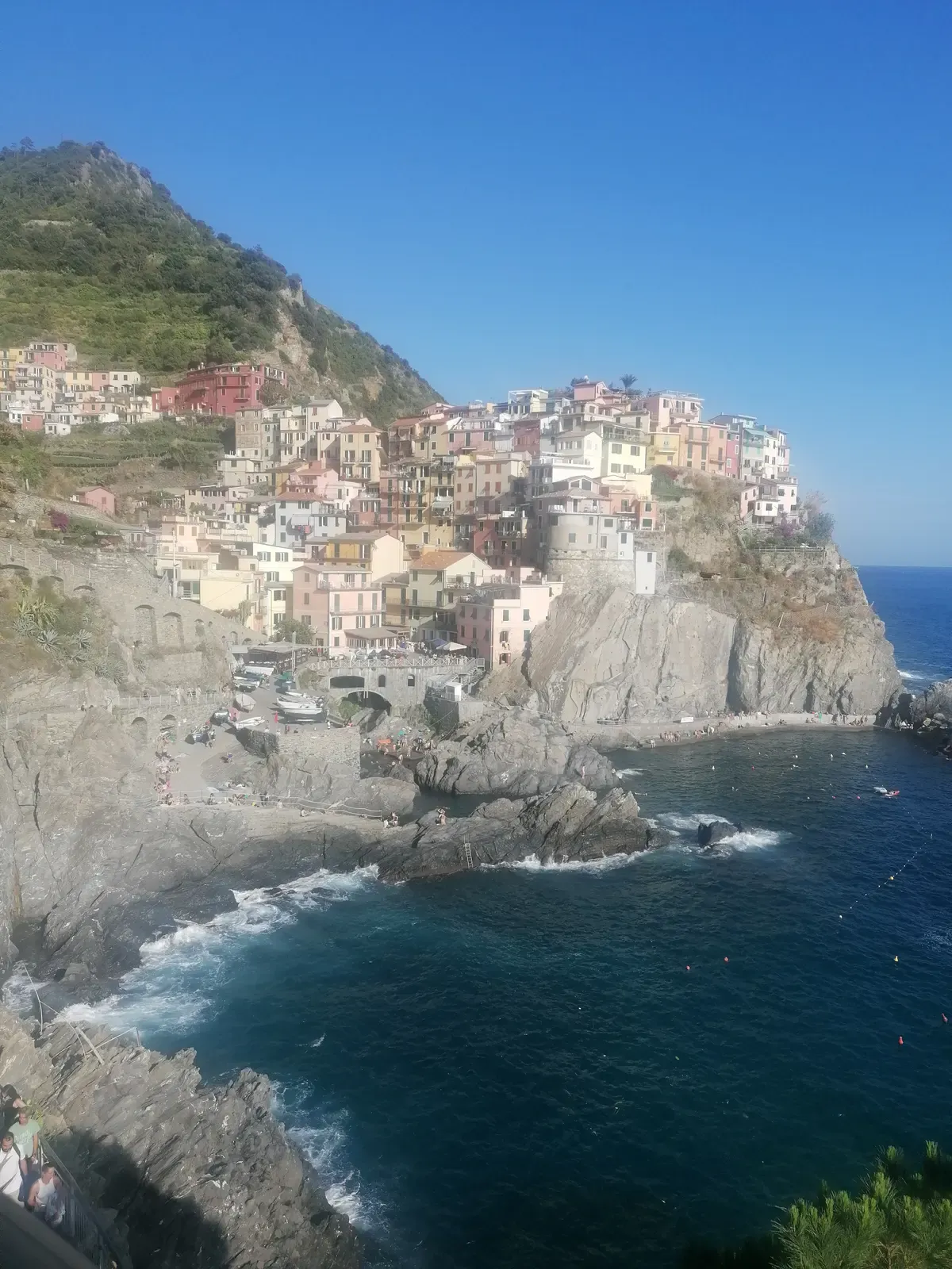 Manarola houses stacked on the rock above the harbour, Cinque Terre, Italy