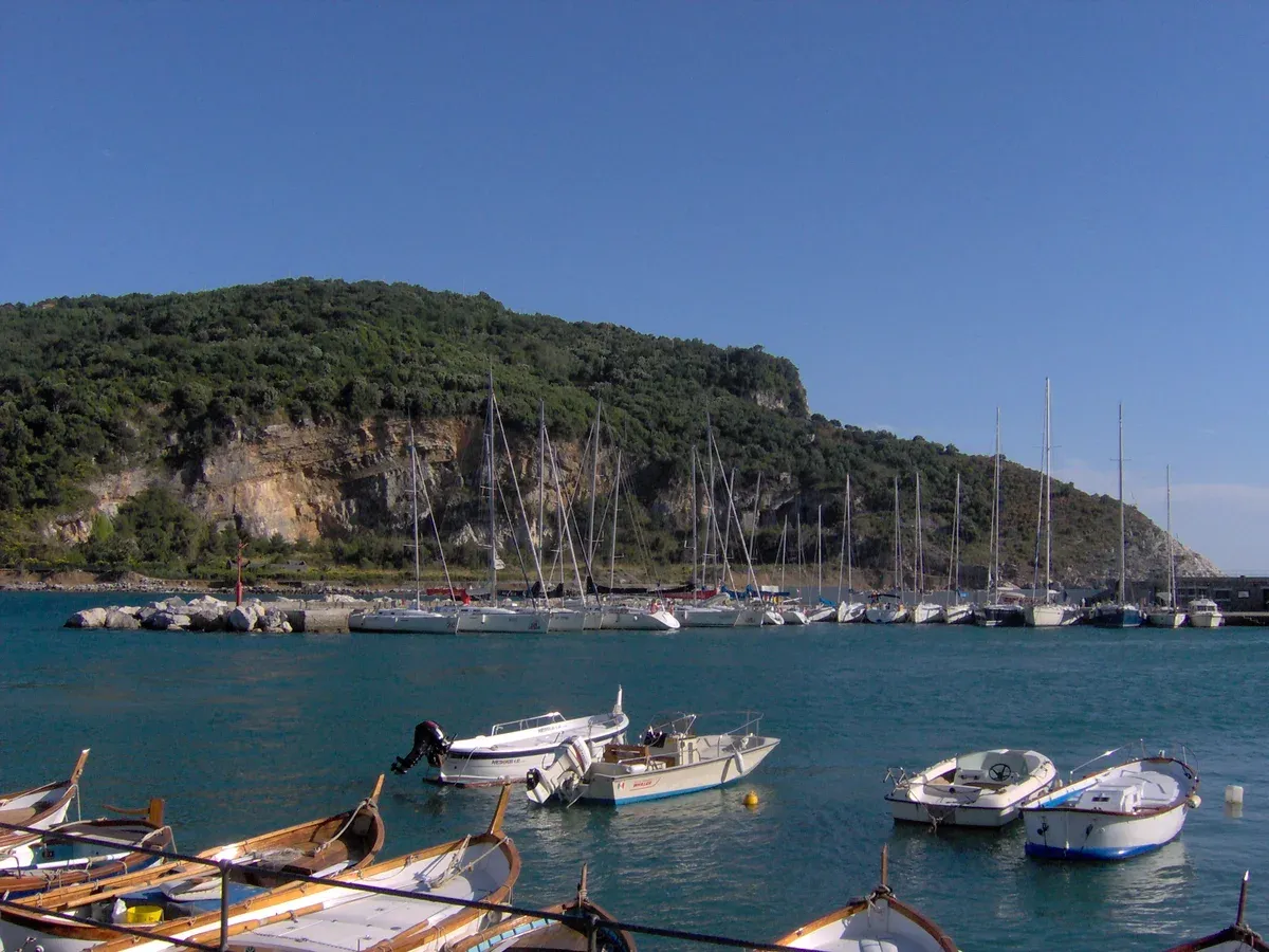 Boats moored off Palmaria island with the wooded coastline near the Portovenere strait, Italy